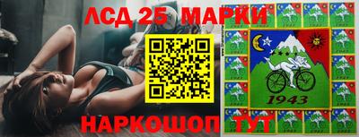 гашик Шахты