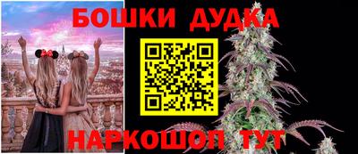 гидра Шебекино