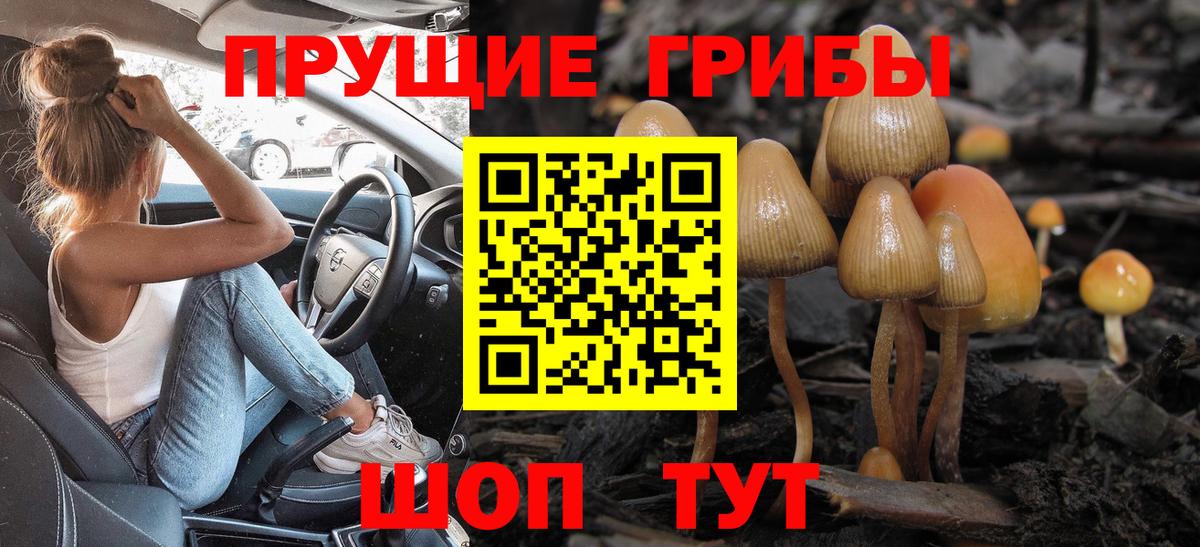 Галлюциногенные грибы MAGIC MUSHROOMS Коркино