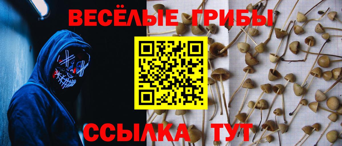 Коркино  Галлюциногенные грибы Psilocybe  Псилоцибиновые грибы прущие грибы  Вход с VPN 